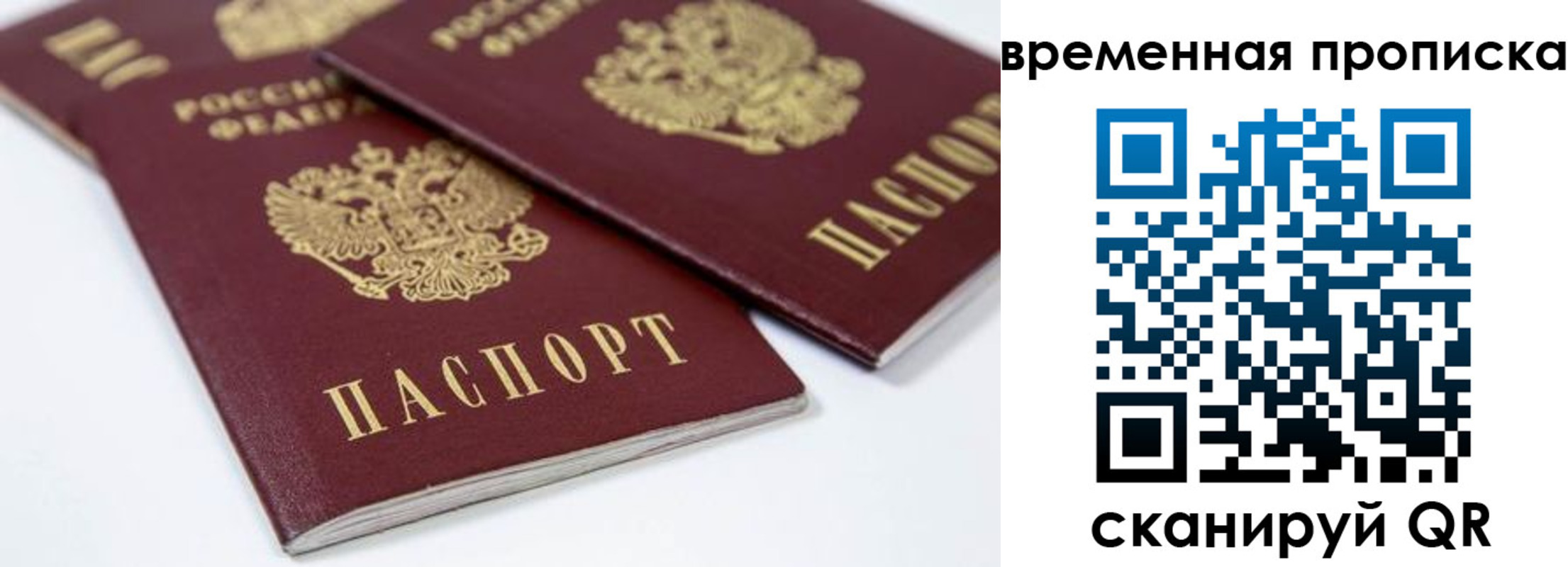прописка для школы в Рославле
